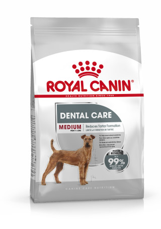 Medium Dental Care